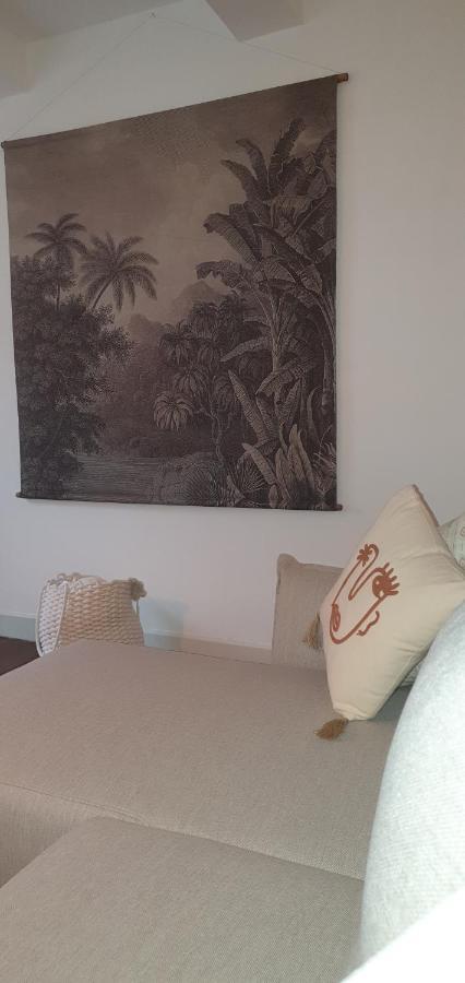 Santocha : Appartement En Plein Coeur De Ville ! Каркассон Экстерьер фото